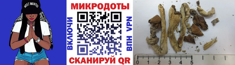 сайты даркнета наркотические препараты  Шлиссельбург  Галлюциногенные грибы GOLDEN TEACHER 